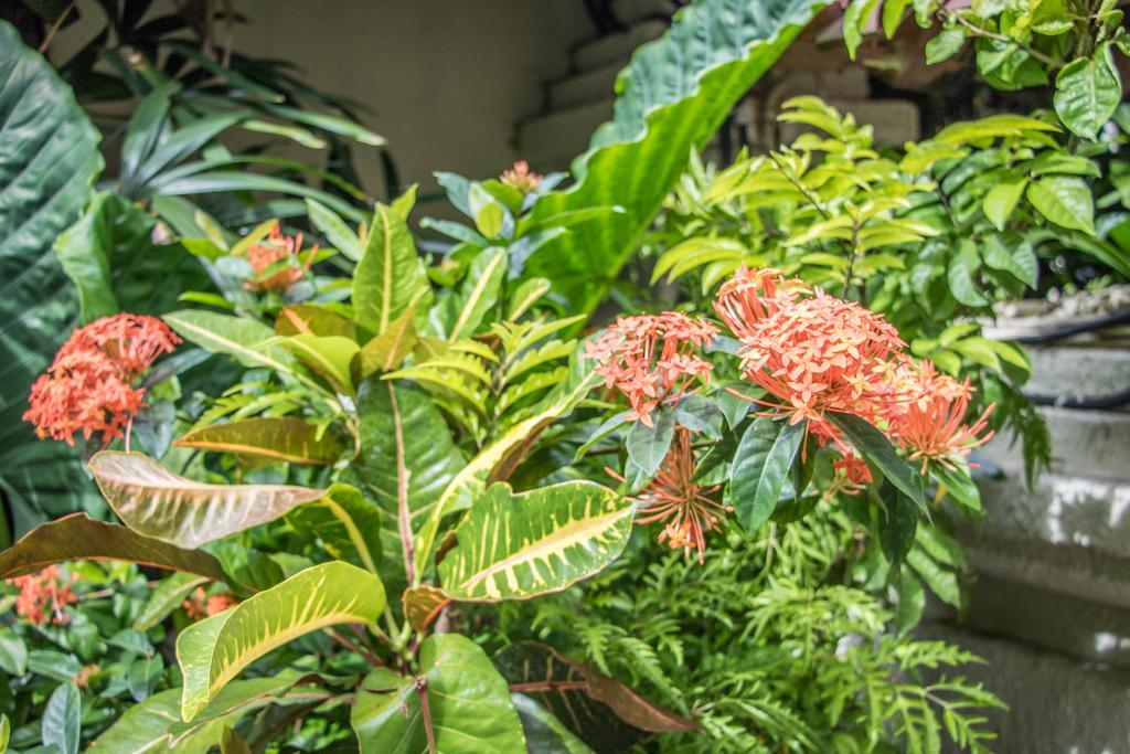 Villa Seriska Seminyak Exteriör bild